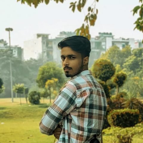 Saksham Rajput — Senior Developer